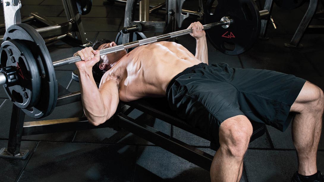 Barbells Vs Dumbbells Which One Is Better