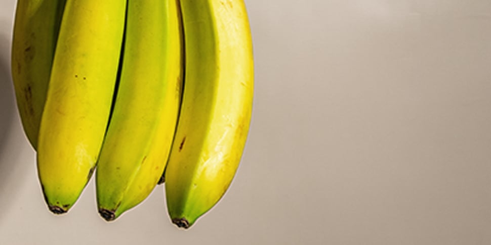 Healthy Carbs Bananas