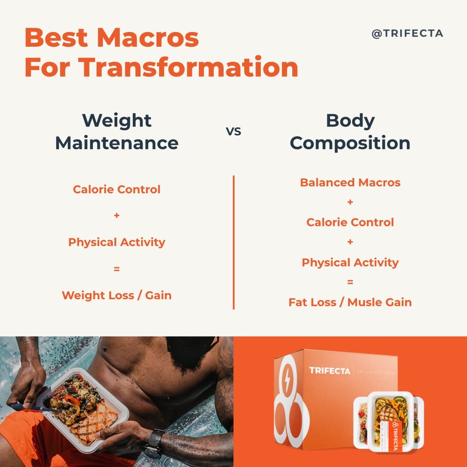 best macros for fat loss