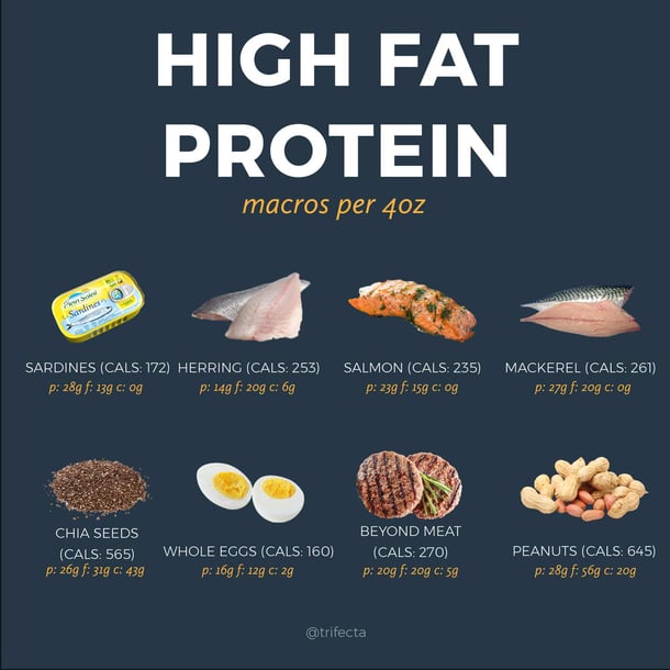 High Fat Protein foods