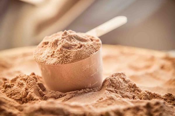 Scoopful of chocolate casein powder.