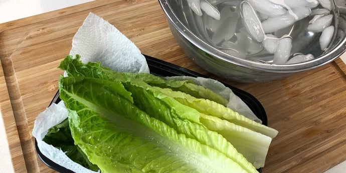 Ice water shocked romaine lettuce leaves drying on paper towels 