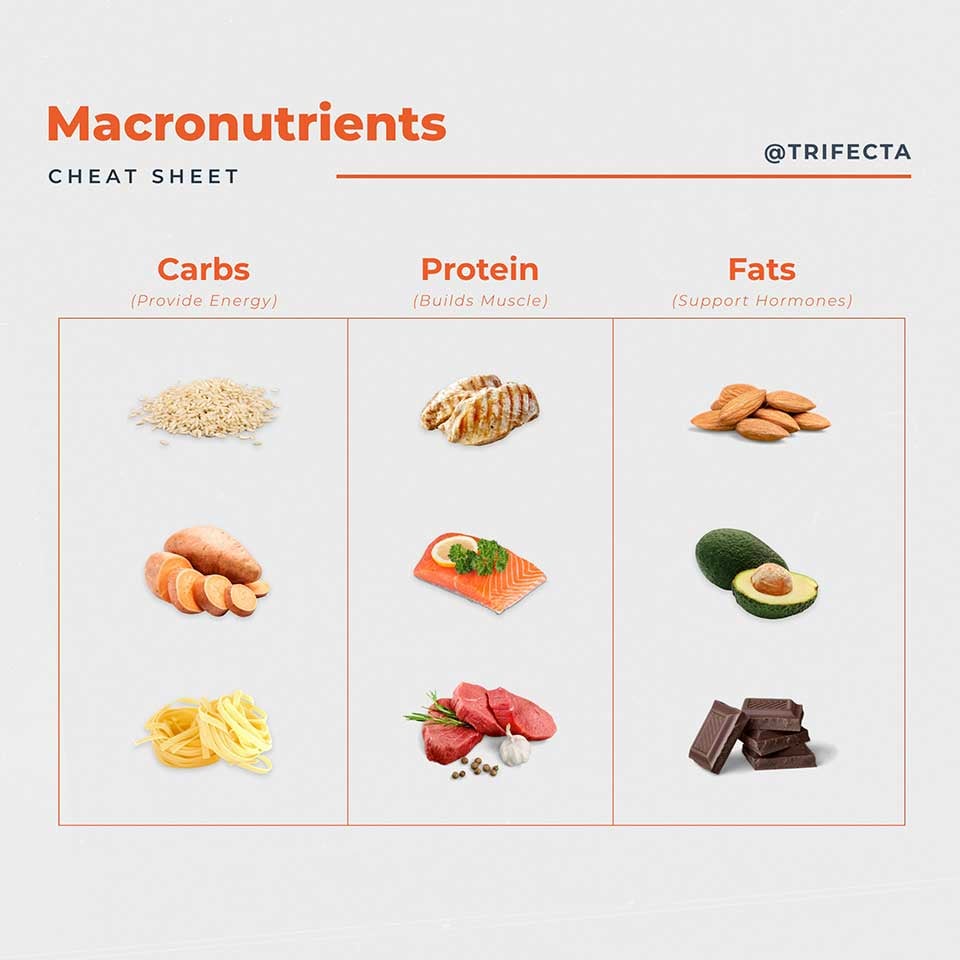 Macro Calculator: Count Your Macros Like a Pro!