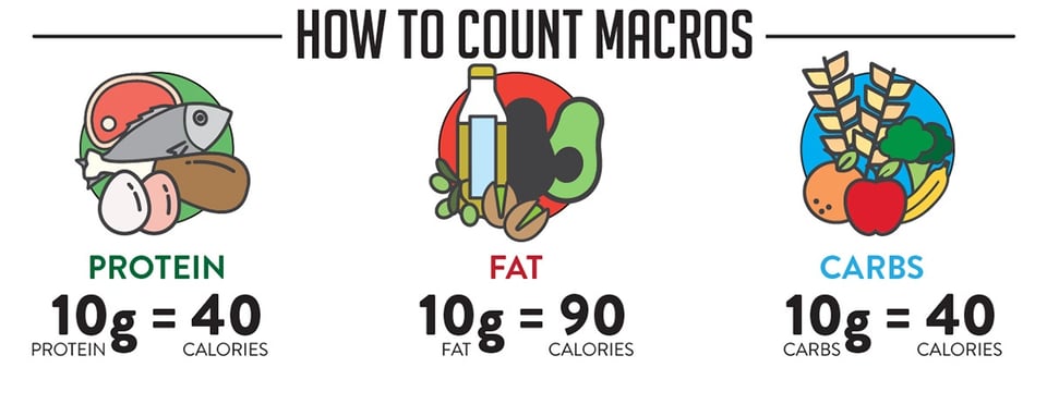 How to Count Macros: A Step-By-Step Guide