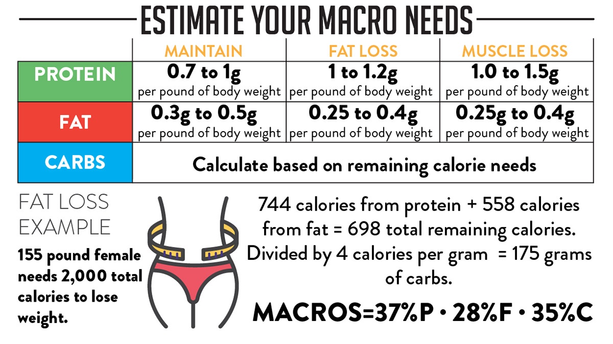 how to figure out your macros for your body type