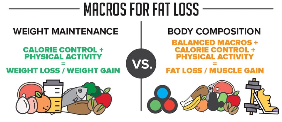 best macros for weight loss