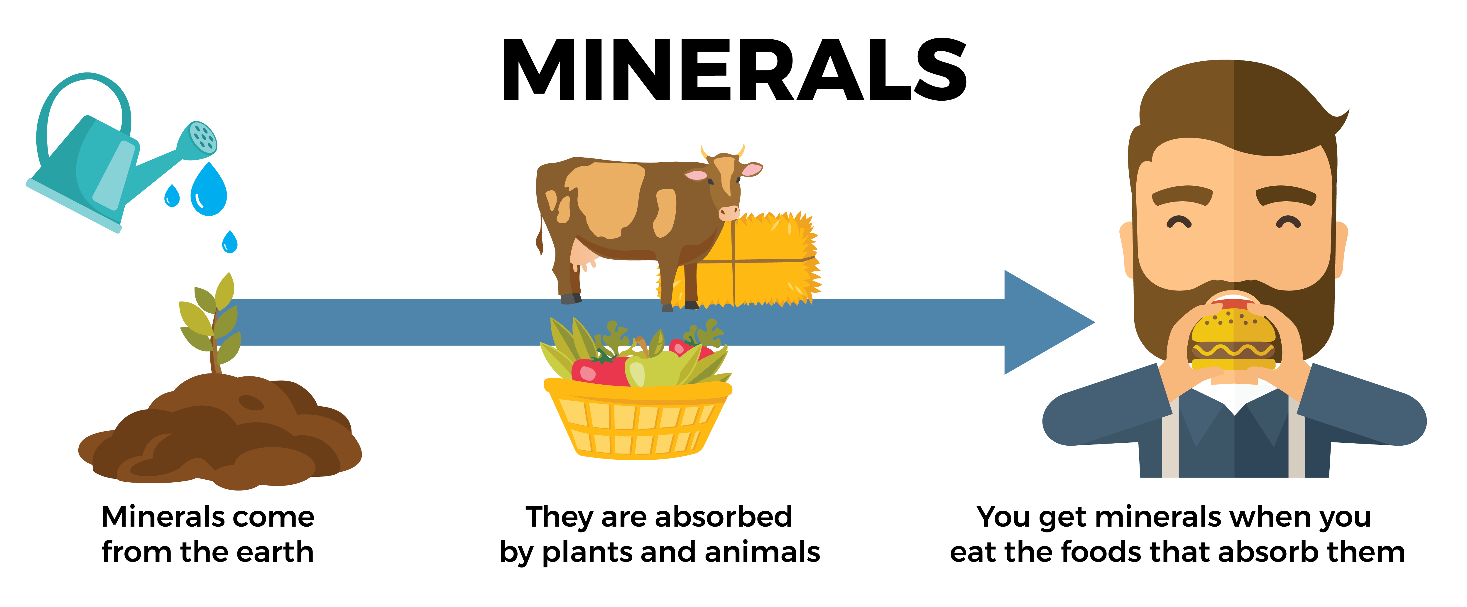 Micro-Nutrient Blog Graphics-01 (1)-1
