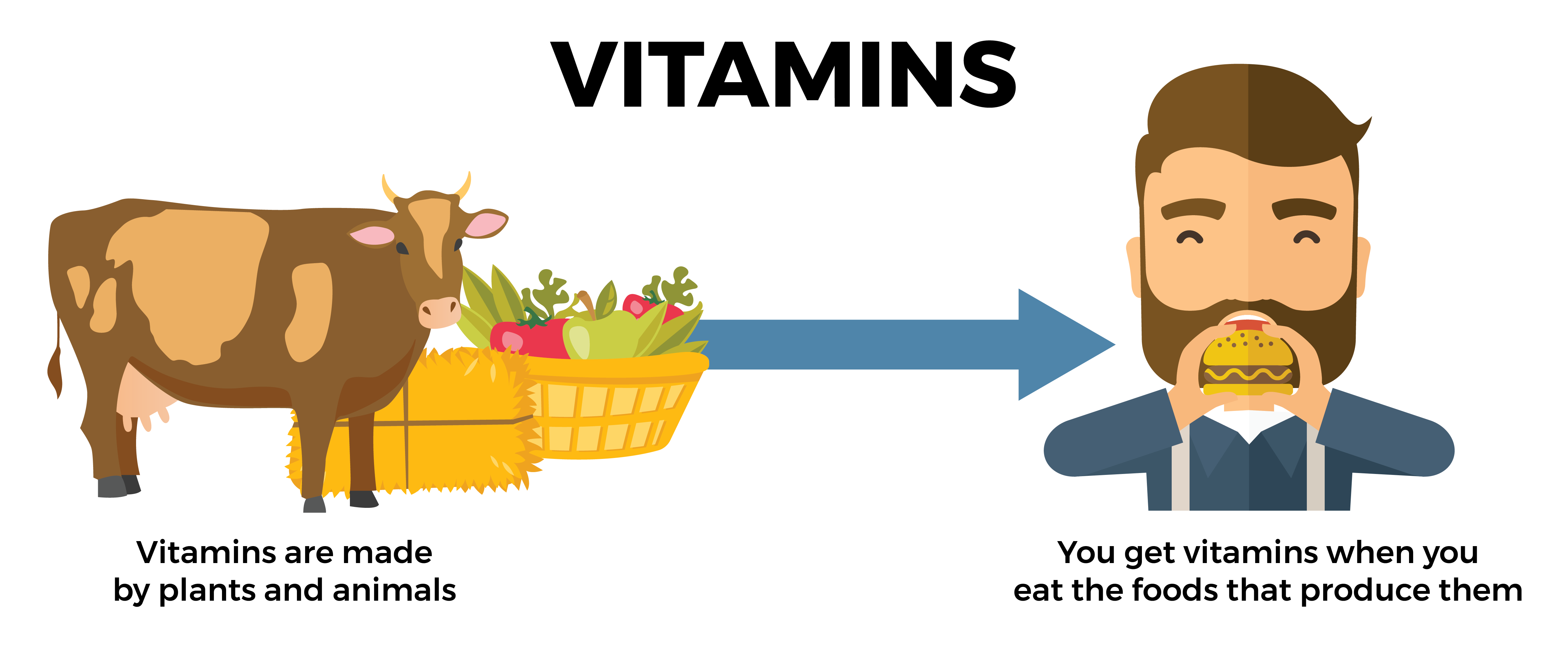 Micro-Nutrient Blog Graphics-03 (1)-1