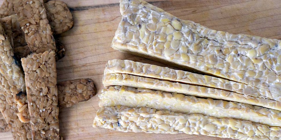 tempeh for gut health