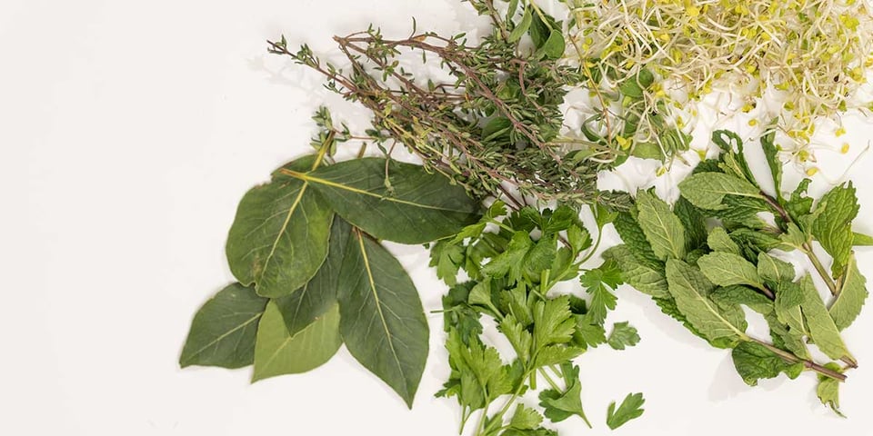 fresh herbs for meal prep 
