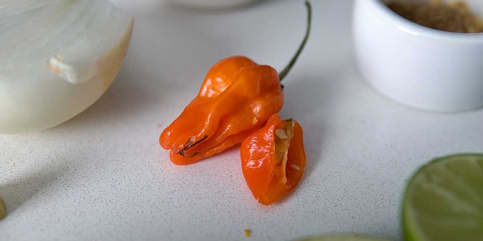 habanero peppers for roasted habanero pepper sauce recipe