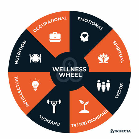 trifecta wellness wheel 