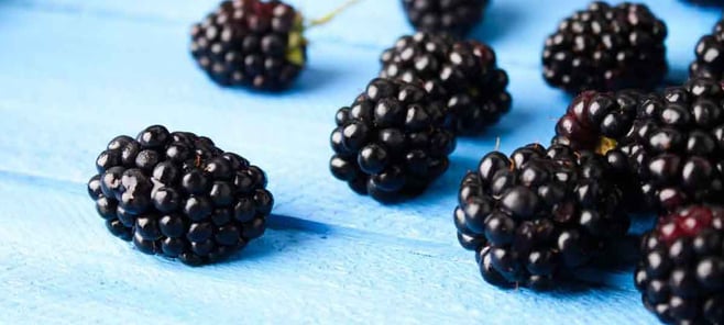 blackberries fruit