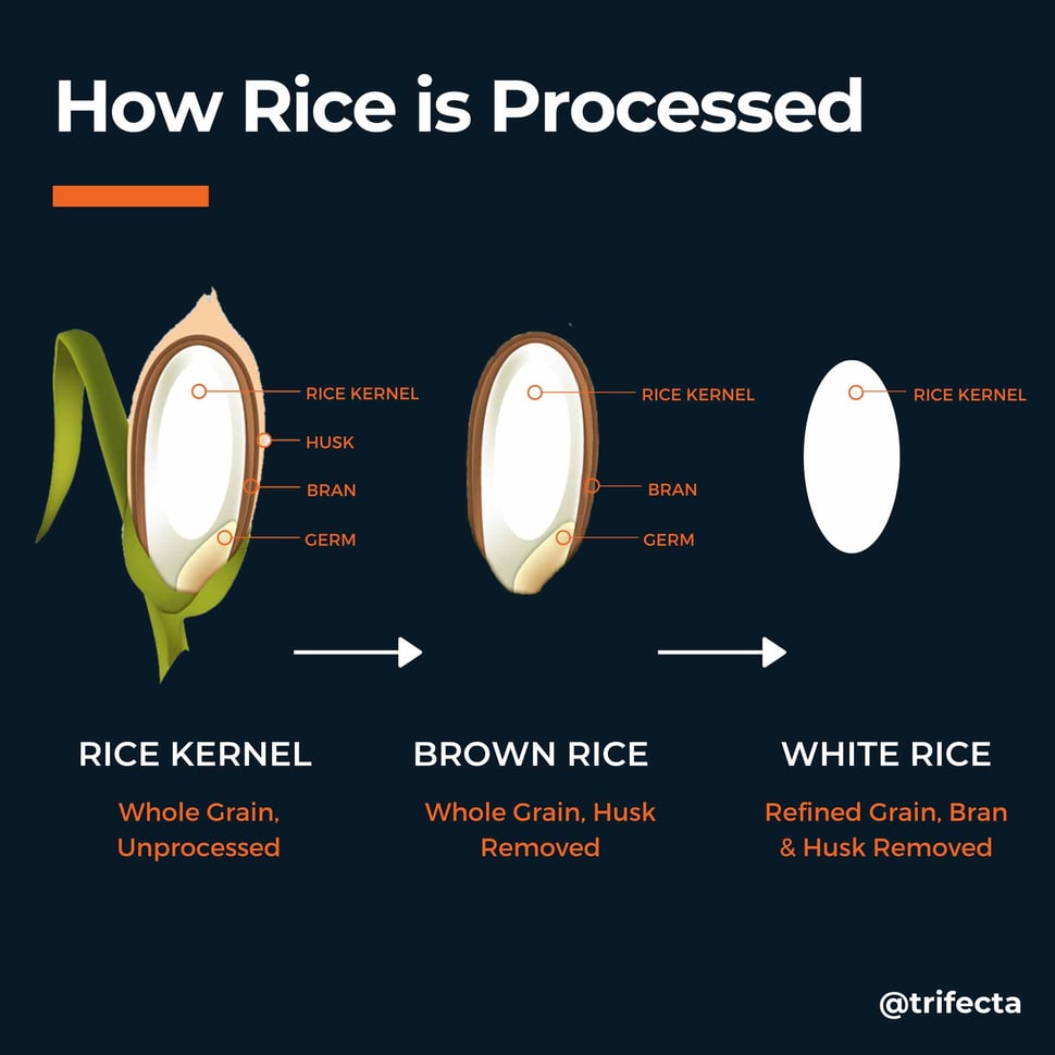how rice grain is processed