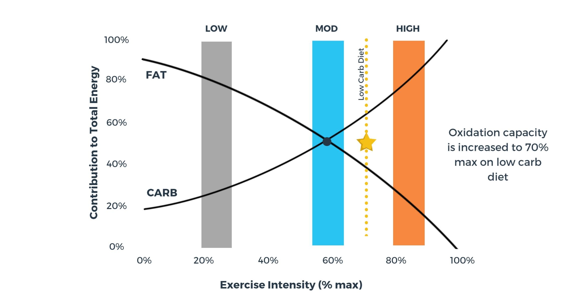 The Role Of Carbohydrate, Fat And Protein As Fuels For ...