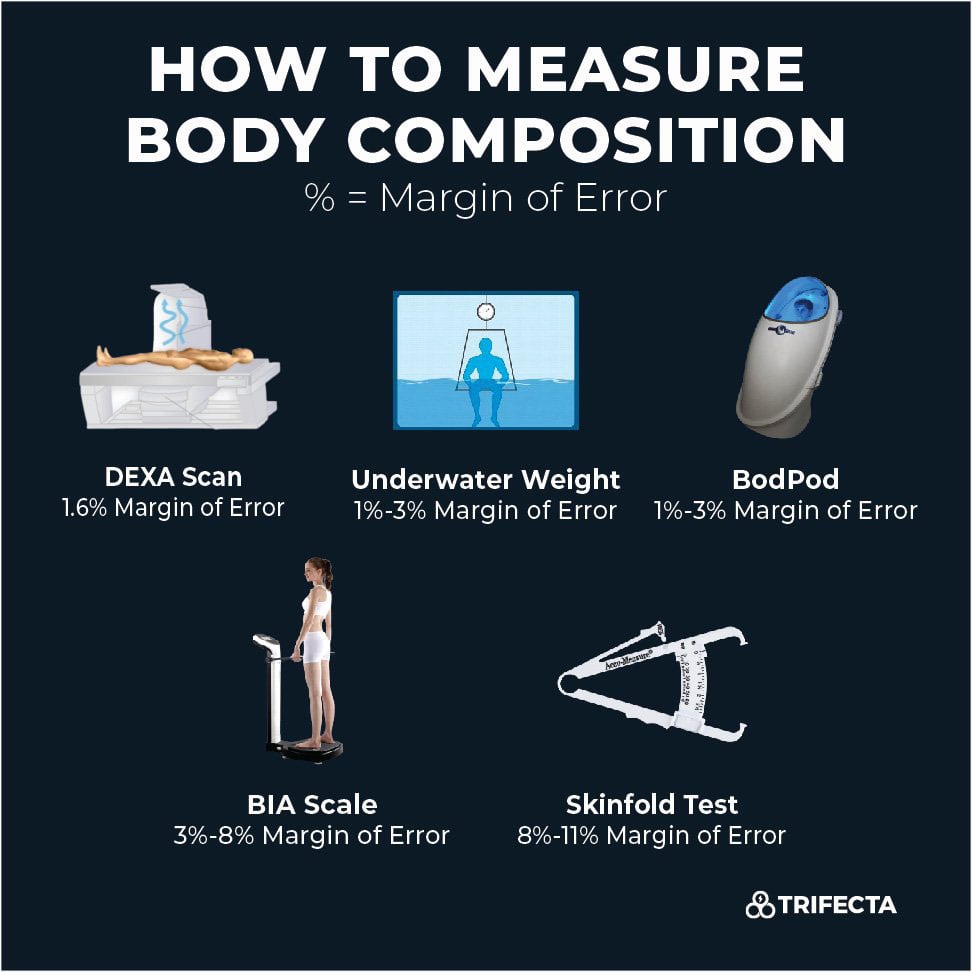 BMI vs Body Composition Analysis