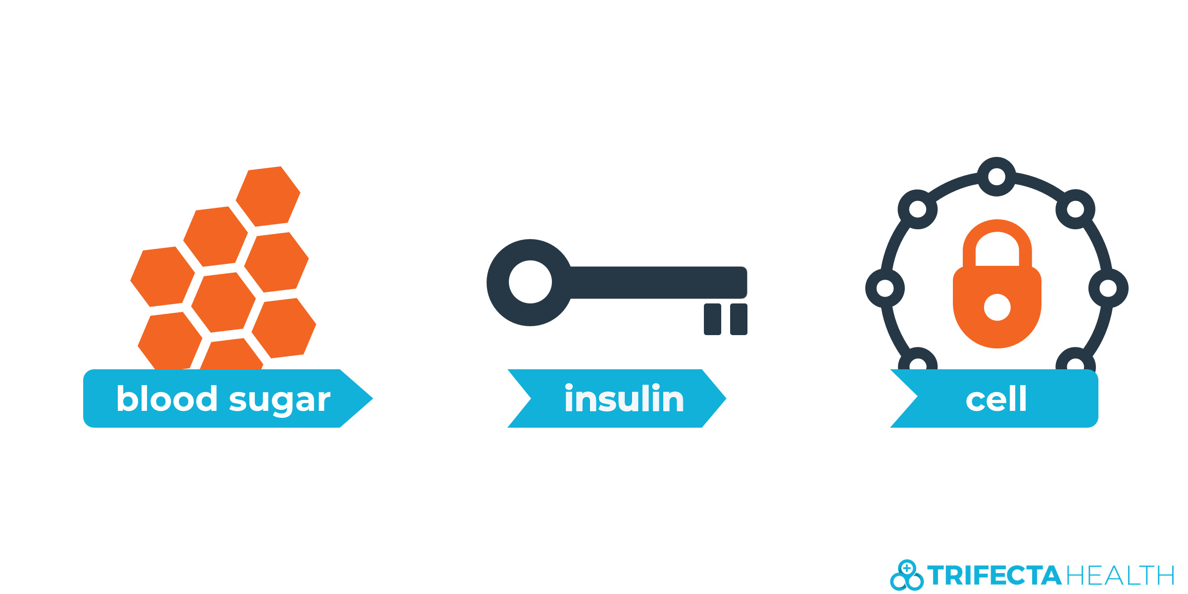 insulin_glucose_diabetes-1