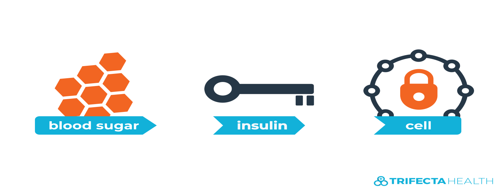 insulin_glucose_diabetes-2