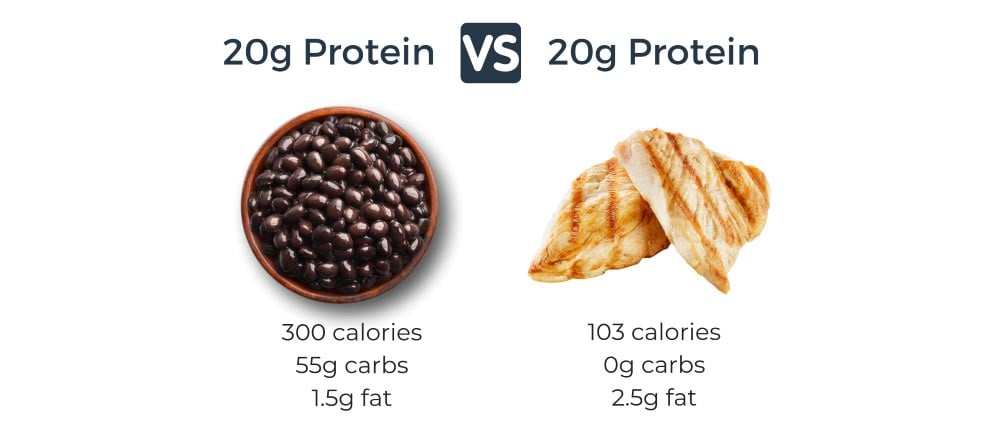 plant-vs-animal-protein-macros-vegan-protein