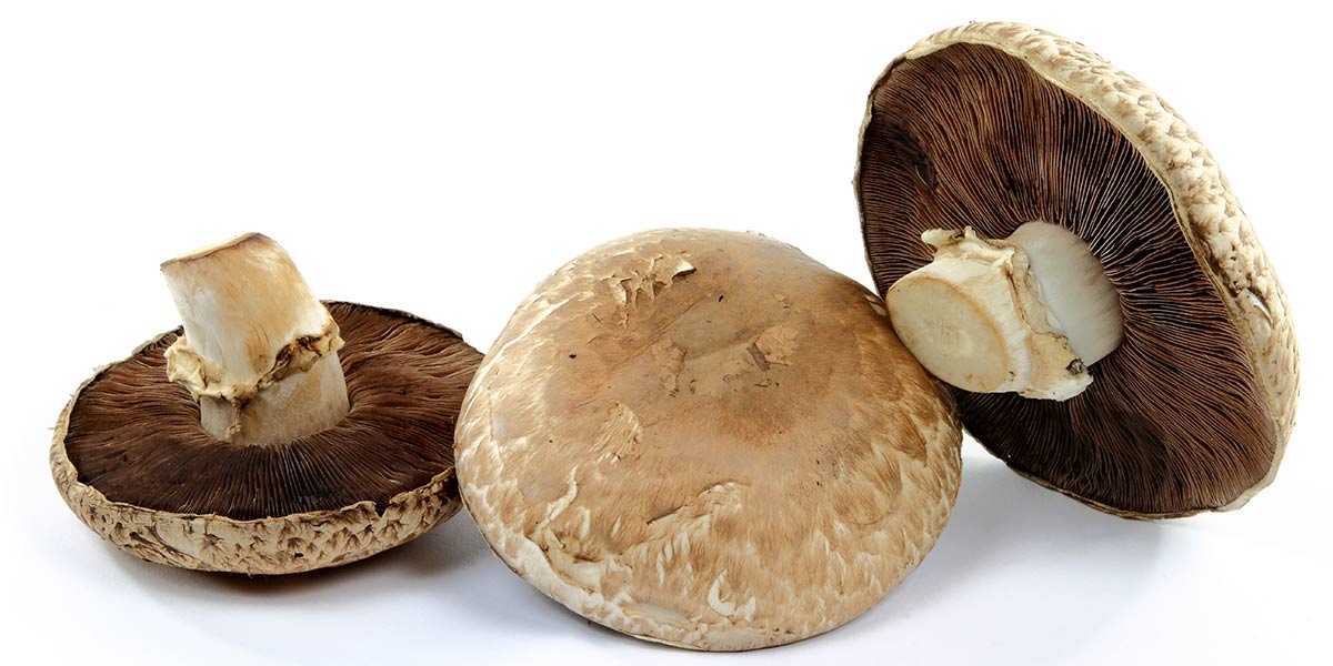 portobello mushrooms