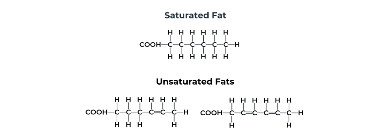 What is Healthy Fat and What Are the Best Sources?