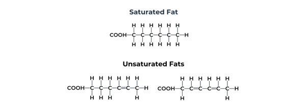 saturated-vs-unsaturated-fat-chemical-structure-double-bond-2-1