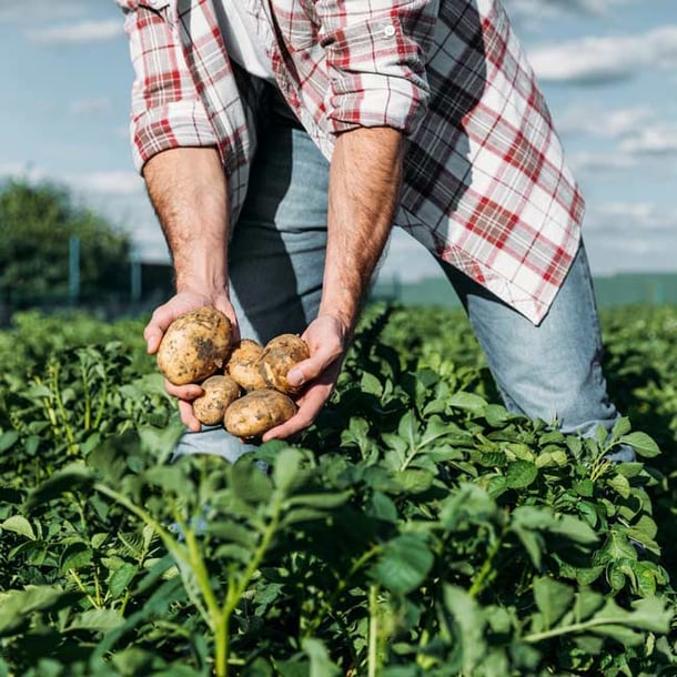 vegetarian-meal-delivery-organic-ingredients-farmer