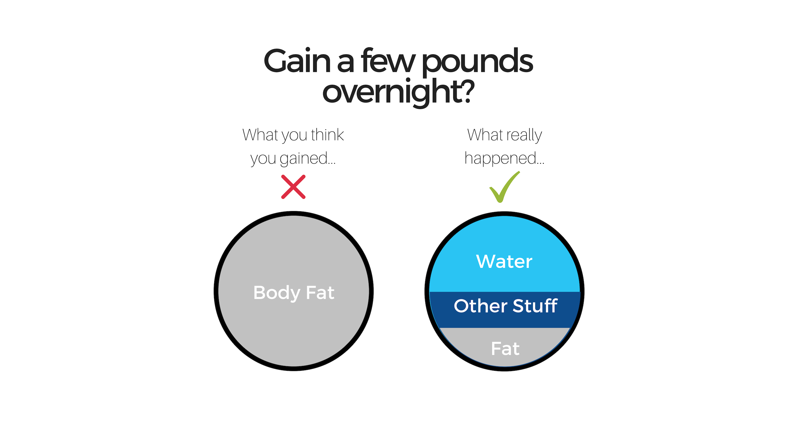 How Much Weight Can You Gain in a Day?