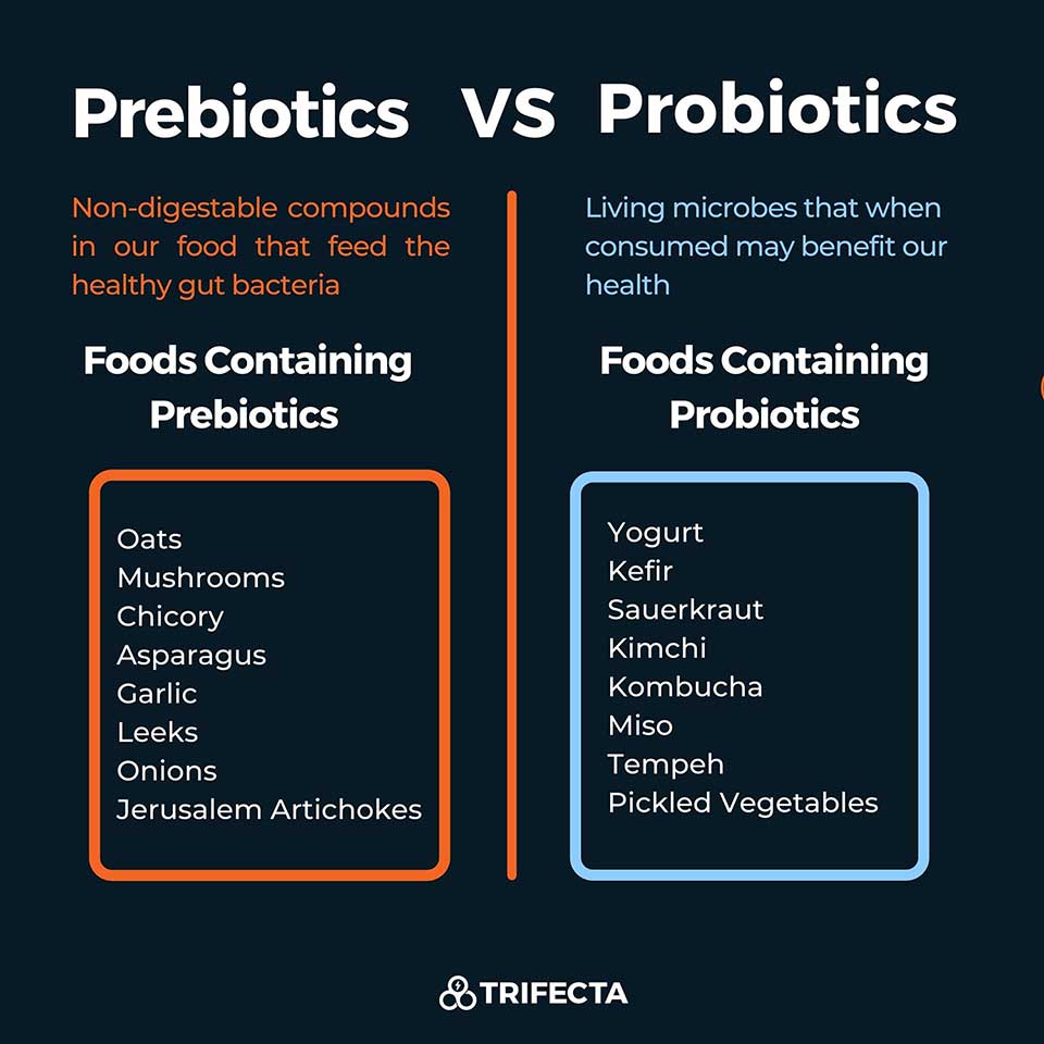 prebiotics vs probiotic foods 