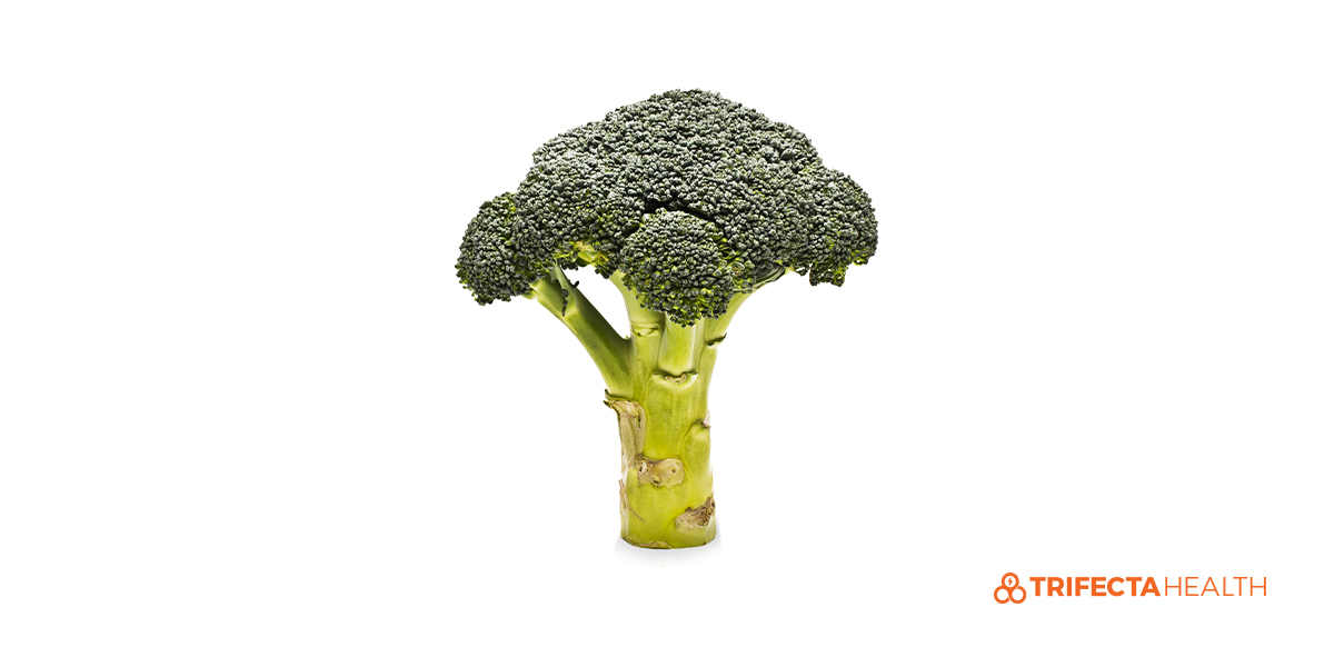 Vitamin Eand Your Health