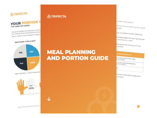meal-planning-portion-guide-image