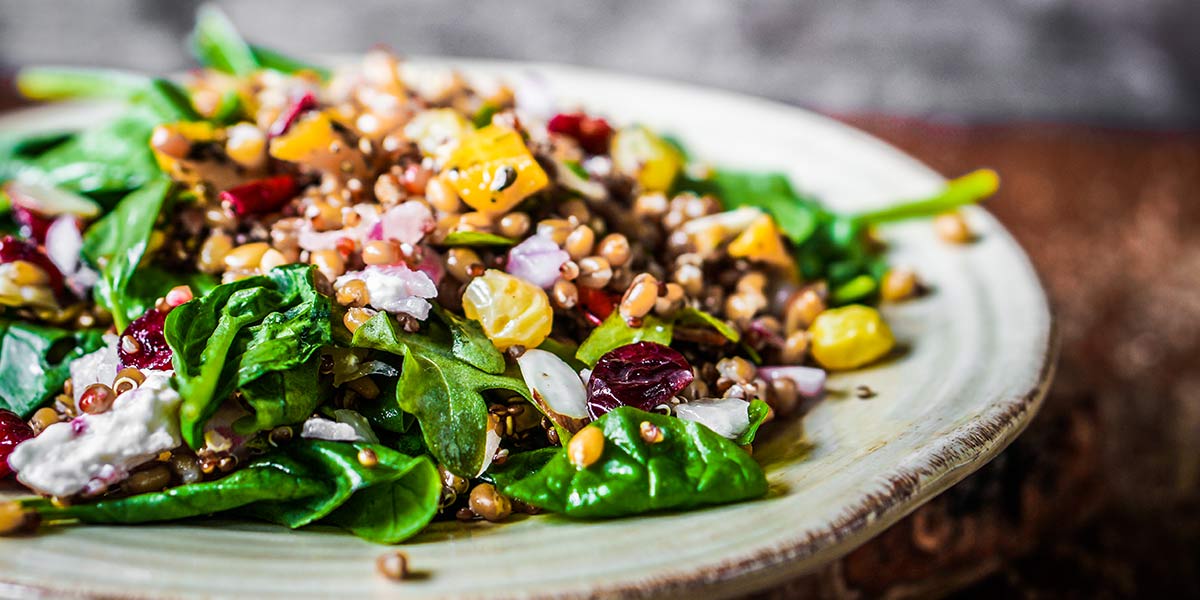 Back to Basics: The Whole Food Plant Based Diet, Explained, grain bowl with spinach and dried fruit